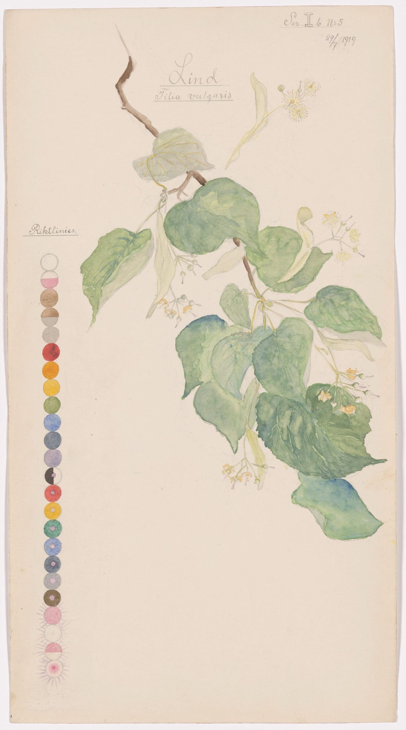 Hilma af Klint